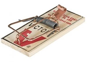 Victor mouse control trap